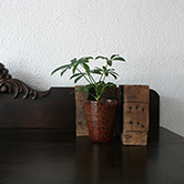 wooden mold / 木型 デキャンター栓